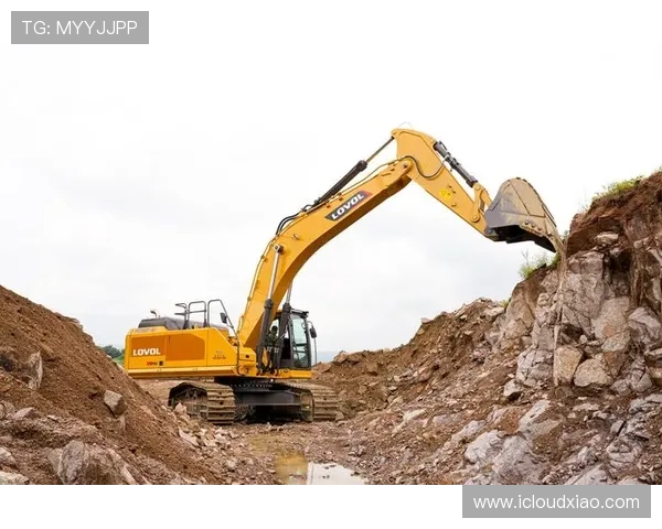 挖掘机品牌：雷沃重工实测