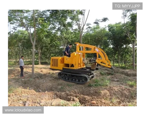 挖掘机苗圃移栽带土球挖掘技巧